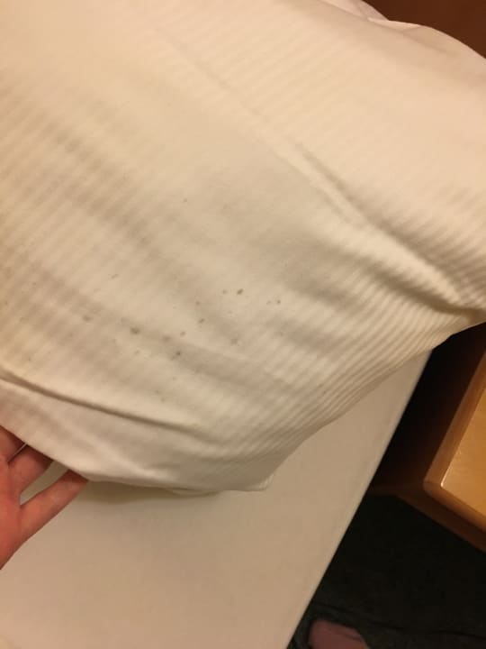 Zimmer City Hotel am Gendarmenmarkt