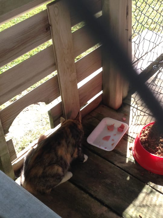 Gartenanlage Royal Wings Hotel