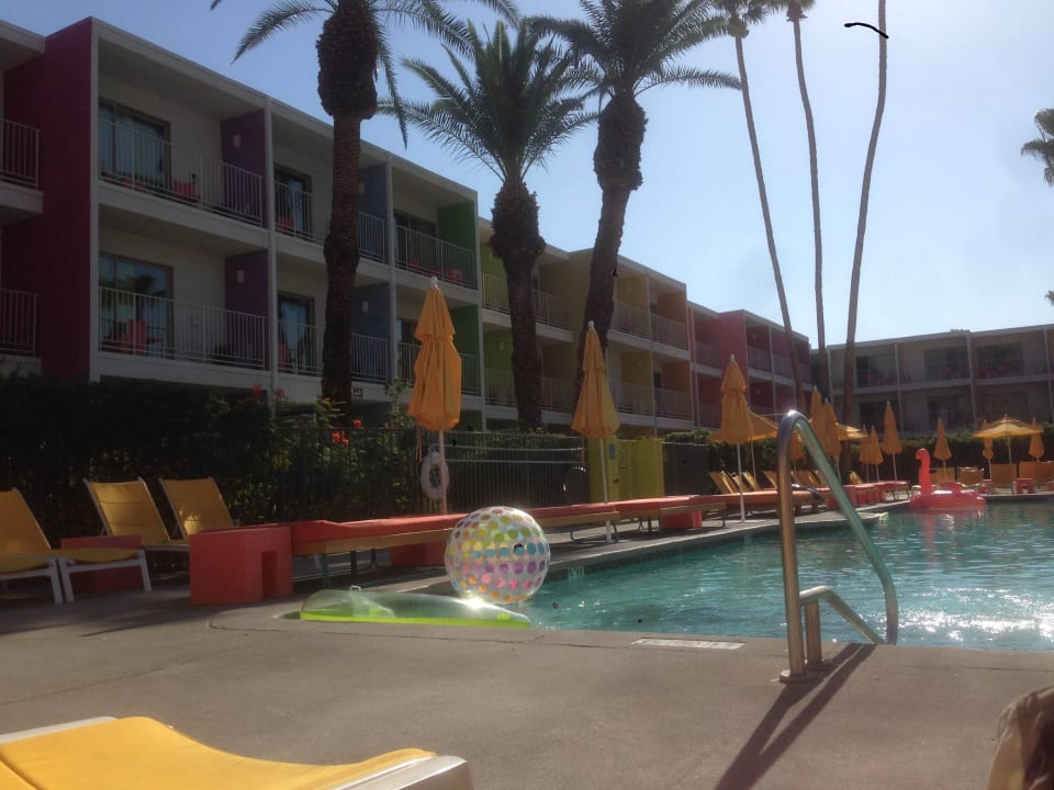 Pool Joie de Vivre Hotel The Saguaro Palm Springs