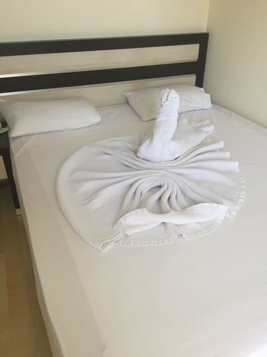 Zimmer Hotel Orfeus Park