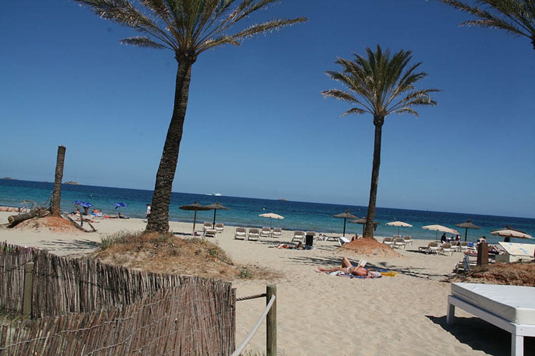 Strand mit abgesägter Palme FERGUS Style Bahamas