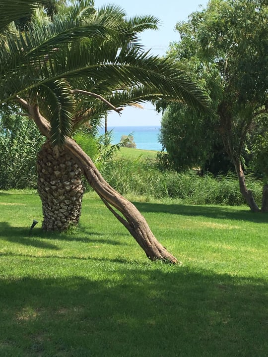 Sehr gepflegt Atlantica Mikri Poli Kos