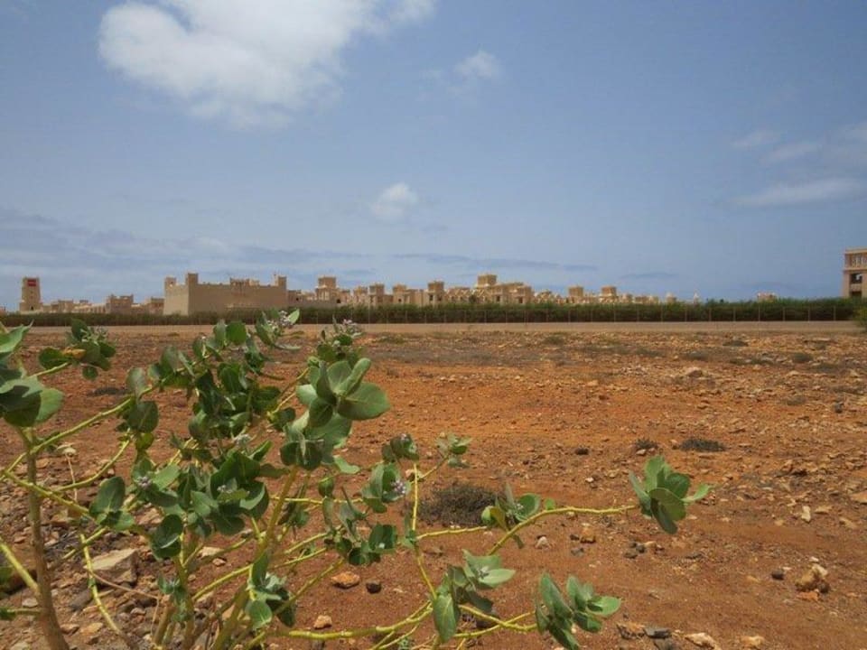 Der 1. Eindruck - RIU Touareg von der Zufahrt aus Hotel Riu Touareg