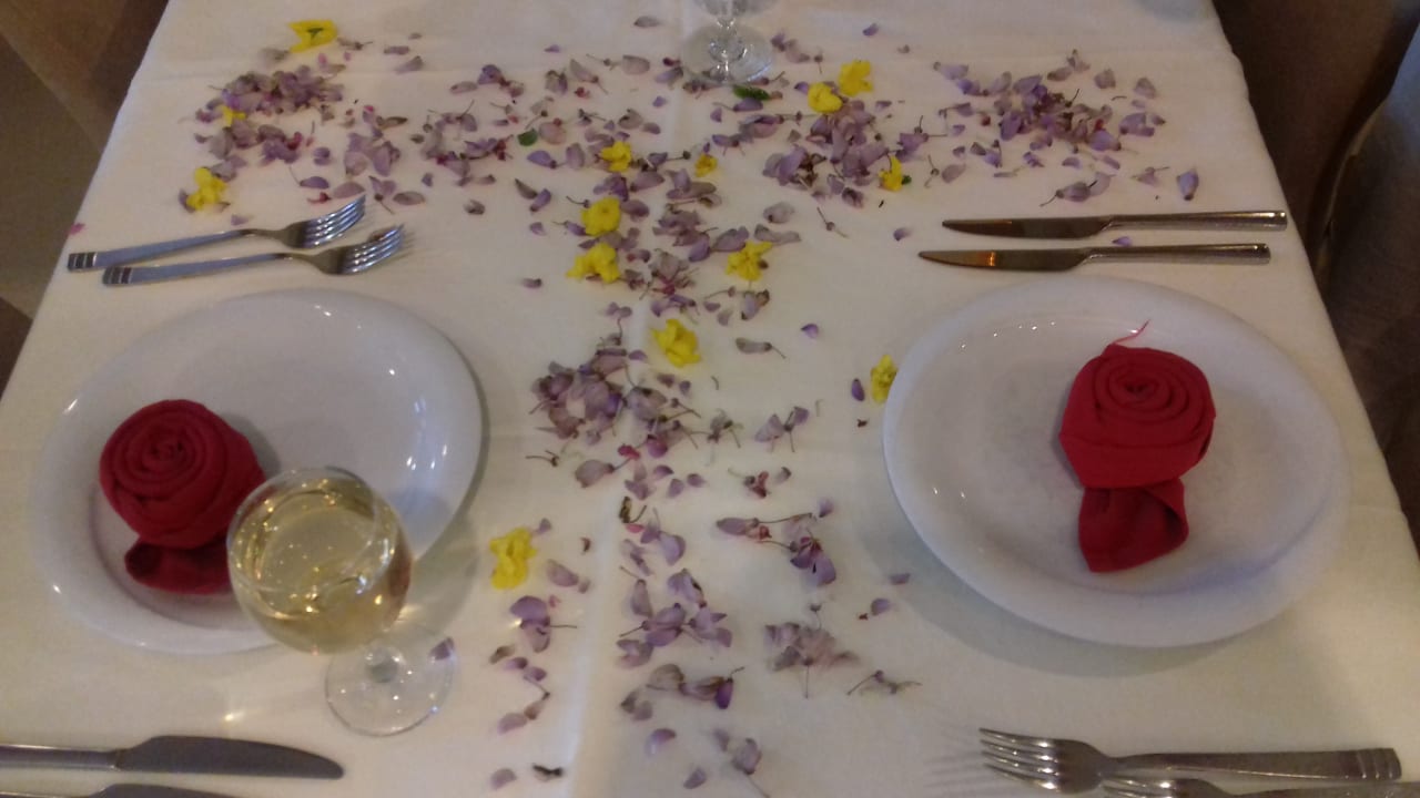 Gastro Calimera Hane Garden