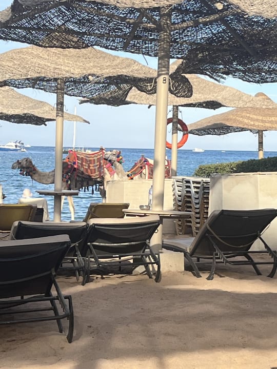 Strand Hotel JAZ Makadi Star & Spa