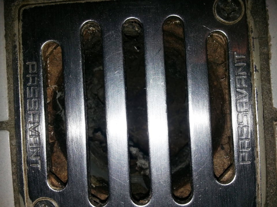 Gulli im Bad? Nur noch Dreck und Geruch Best Western Plus Palatin Kongresshotel