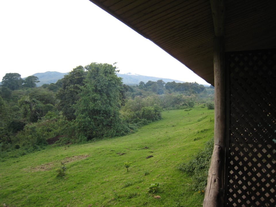 Вид с балкона номера на "дикий парк" Rhino Lodge