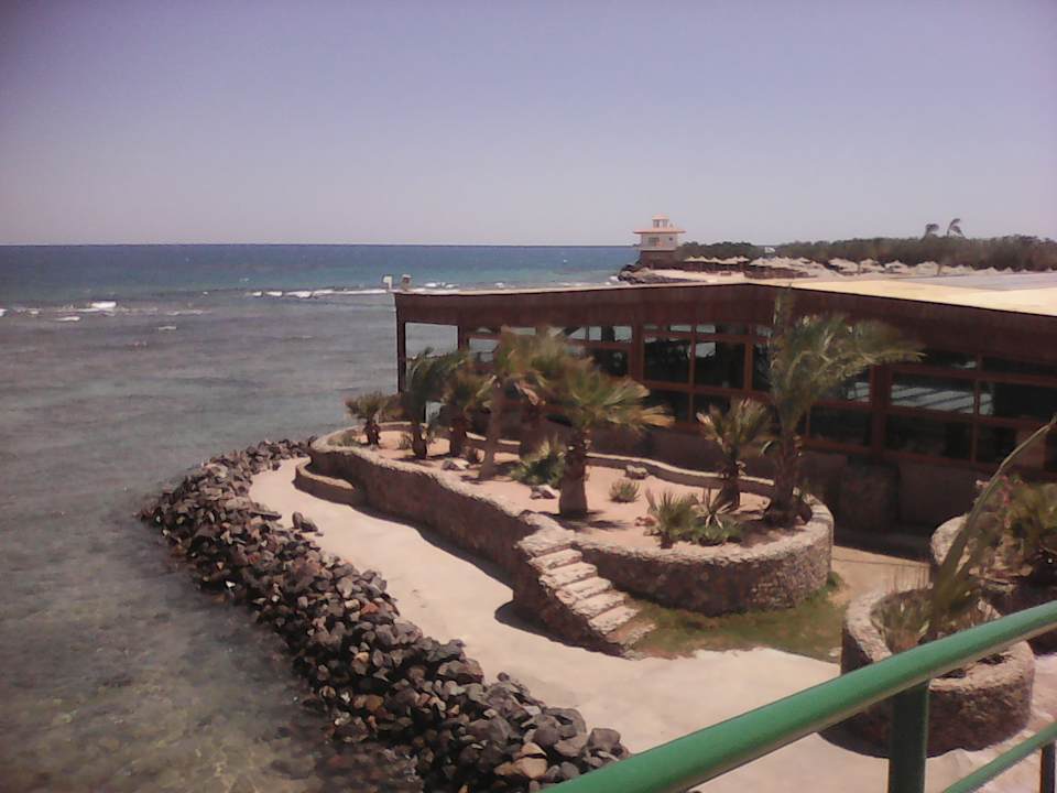 Ausblick Desert Rose