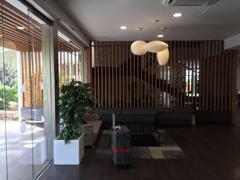 Lobby Globales Cala Blanca