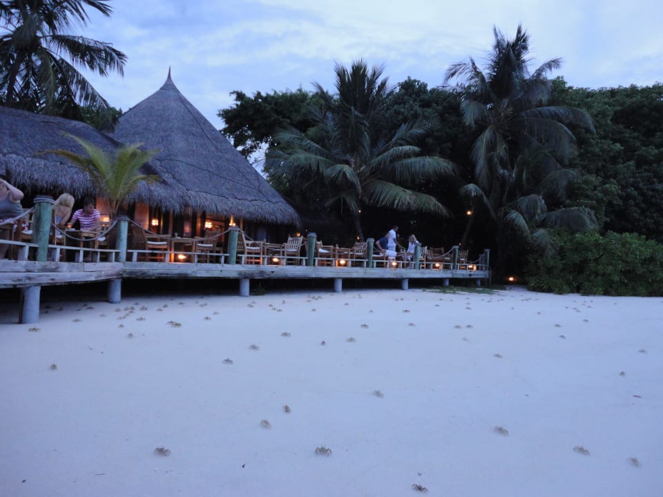 Hotel Kuramathi Island Resort Kuramathi Maldives