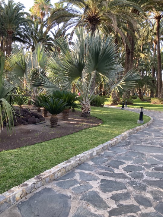 Gartenanlage Hotel Riu Palace Oasis