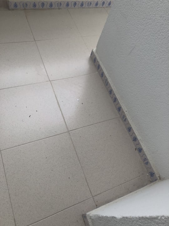 Zimmer Prinsotel La Dorada