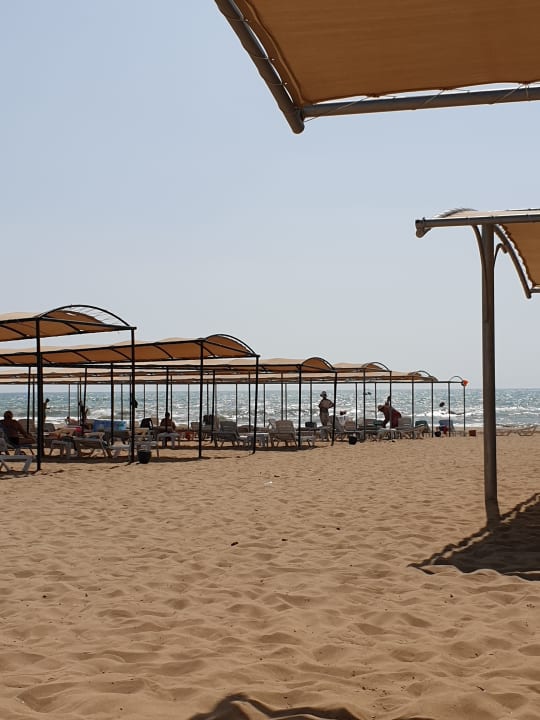 Strand Calimera Hane Garden