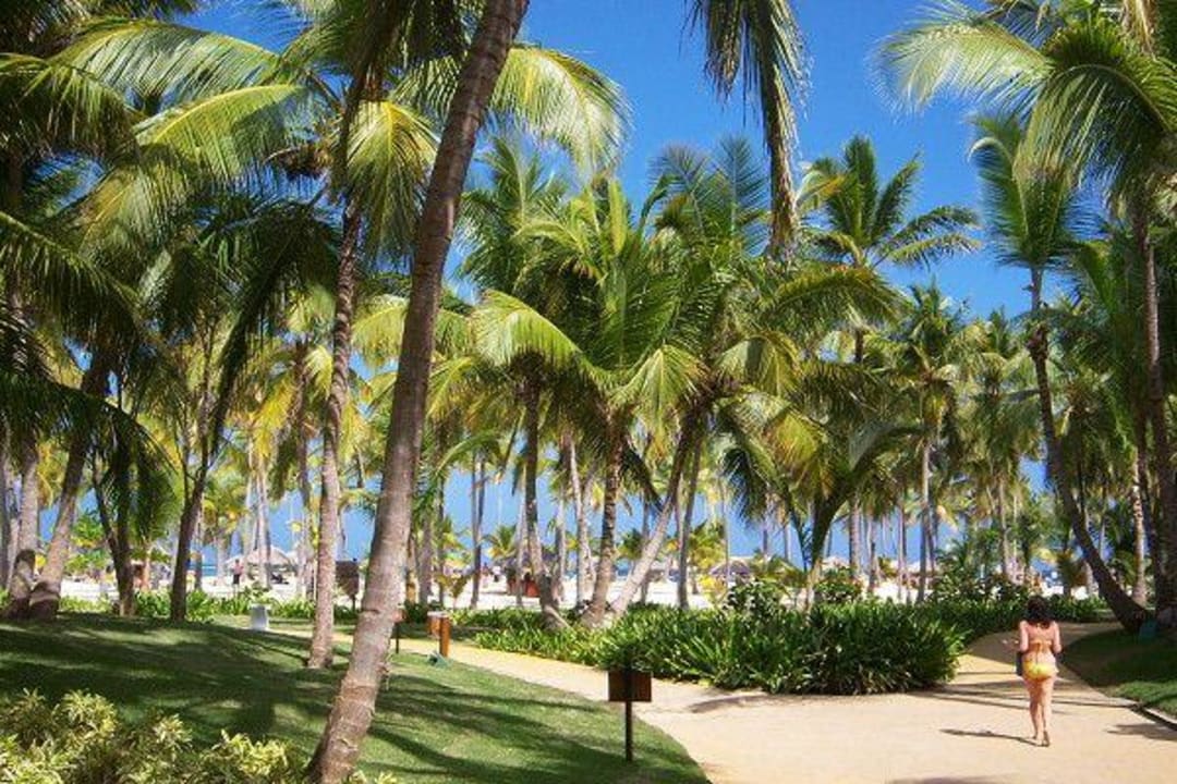 Strand Catalonia Punta Cana - All Inclusive