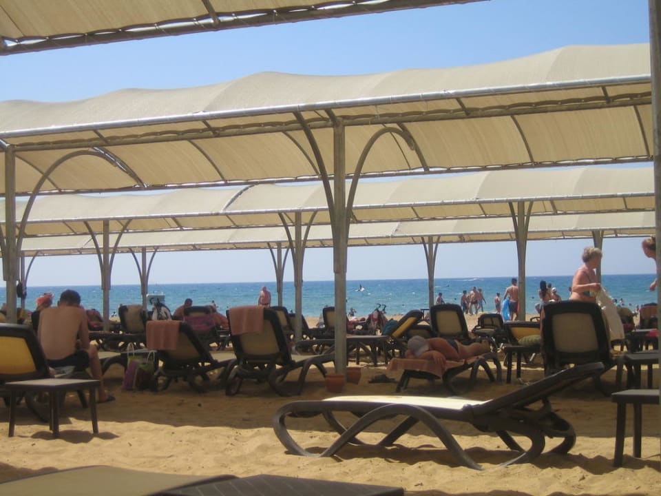 Strand / Liegen Diamond Excellence Resort & Spa