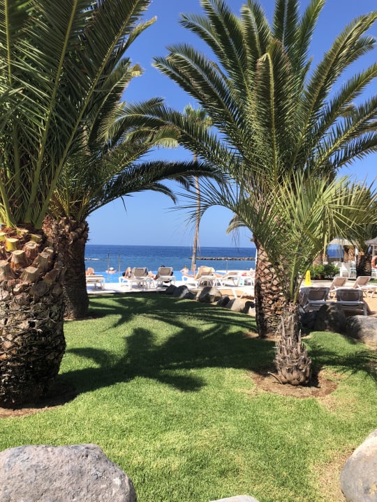 Pool Hotel Riu Arecas - Adults only