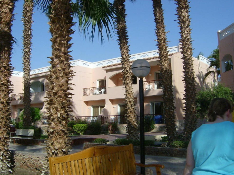 Sonstiges Beach Albatros Resort