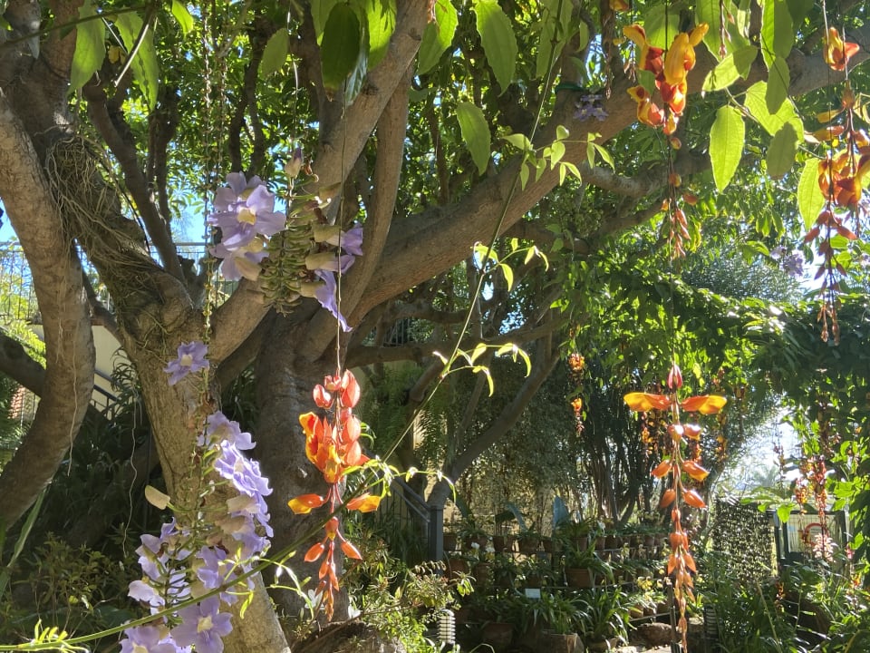 Gartenanlage Hotel Porto Mare - PortoBay