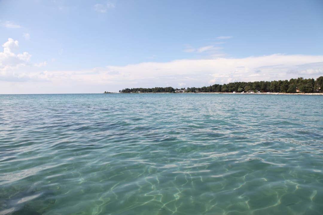 Strand Apartments Amfora Plava Laguna