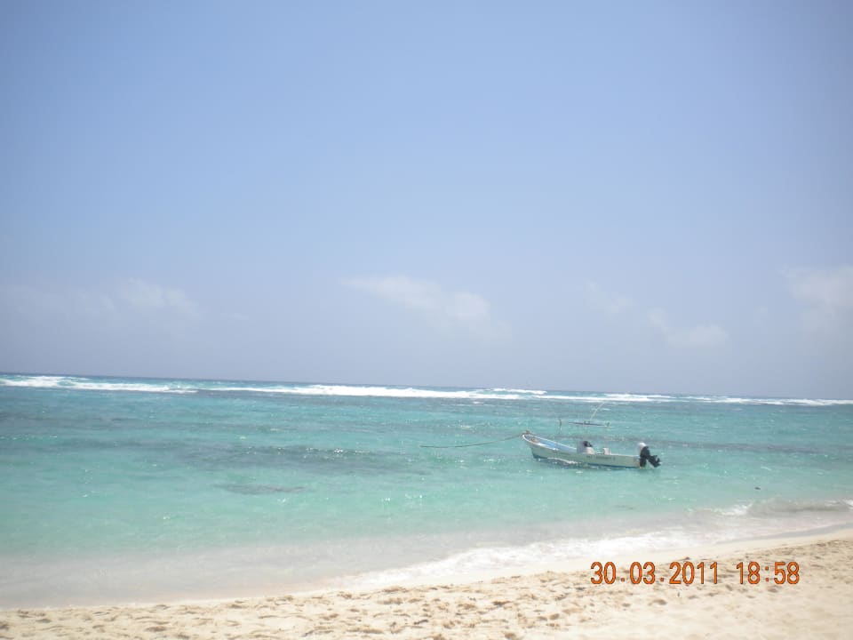 Direkter Blick aufs Meer Grand Oasis Tulum Riviera - All Inclusive