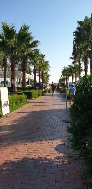 Strand Sunis Elita Beach Resort & Spa