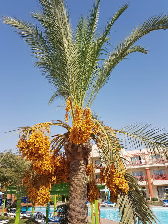 Gartenanlage Titanic Beach Spa & Aqua Park