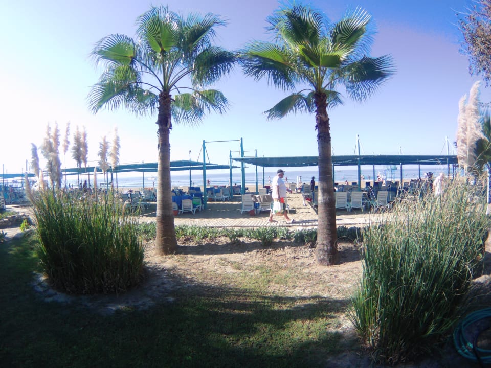 Strand Iz Flower Side Beach Hotel