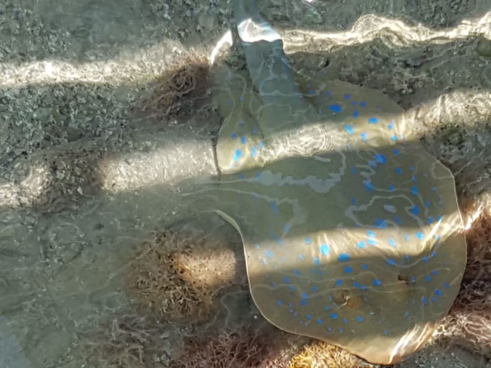 Strand Stella Beach Resort & Spa Makadi Bay