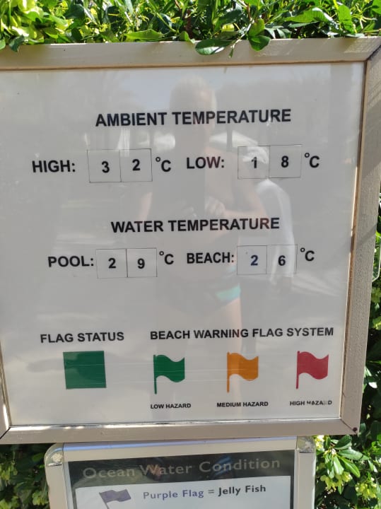 Gartenanlage Miramar Al Aqah Beach Resort