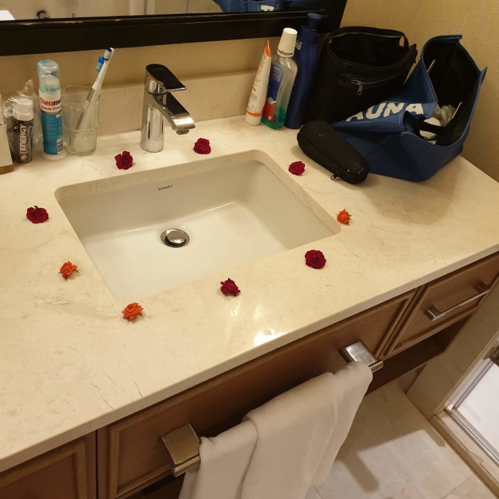 Zimmer Papillon Zeugma Relaxury