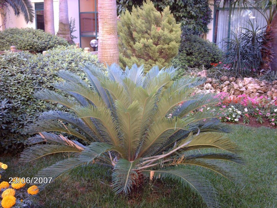 Hotelgarten Hotel Meryan