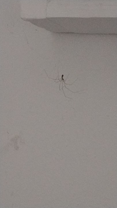 Zimmer Ferienwohnungen & Apartment Landhaus Meer