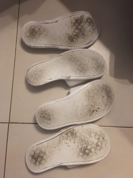 Zimmer Kamelya Aishen Club