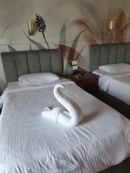 Zimmer Three Corners Sea Beach Resort