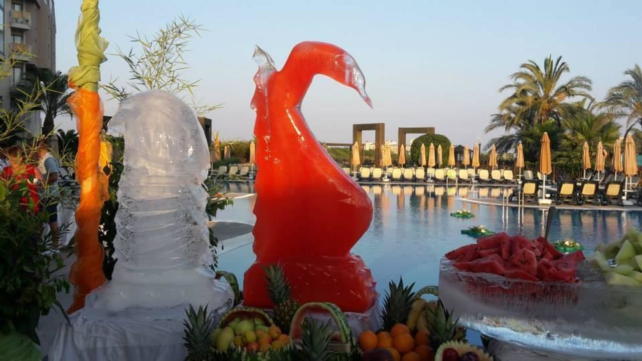 Galaabend Hotel Novum Garden Side