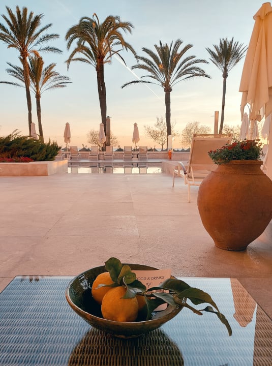 Gastro Myseahouse Flamingo - Adults only