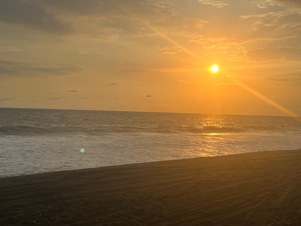 Strand Hotel Pez de Oro