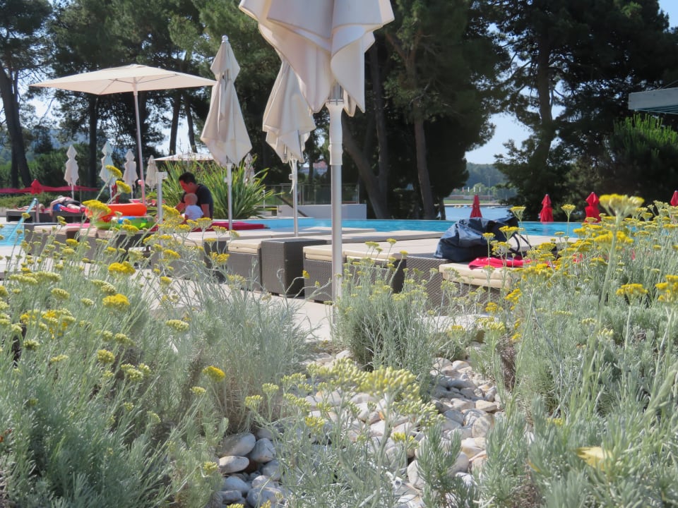 Pool Hotel Parentium Plava Laguna