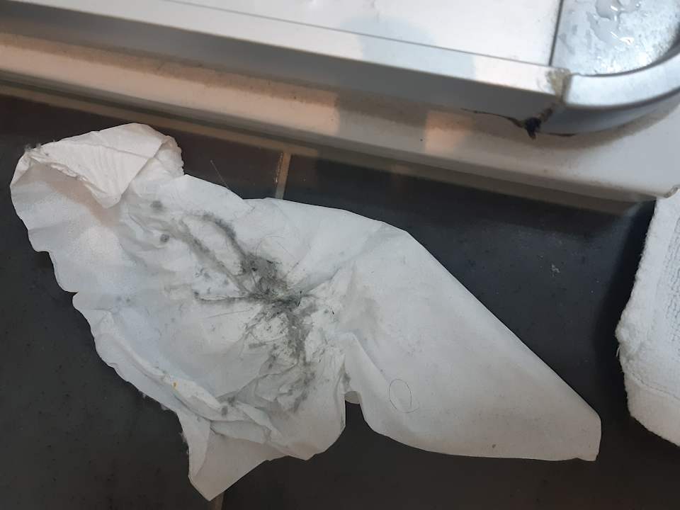 Zimmer Alpenstern Pension & Suites