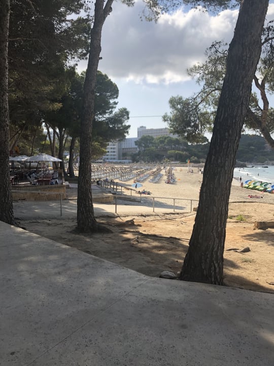 Strand allsun Hotel Bella Paguera