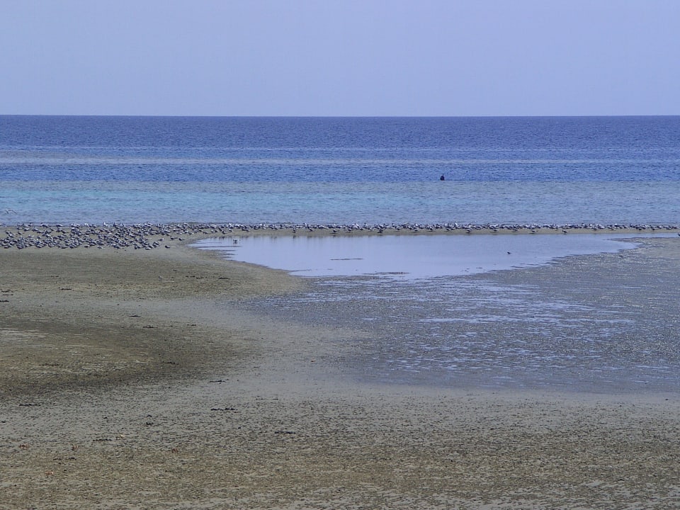 Vogelschutzgebiet am Strand Lahami Bay Beach Resort