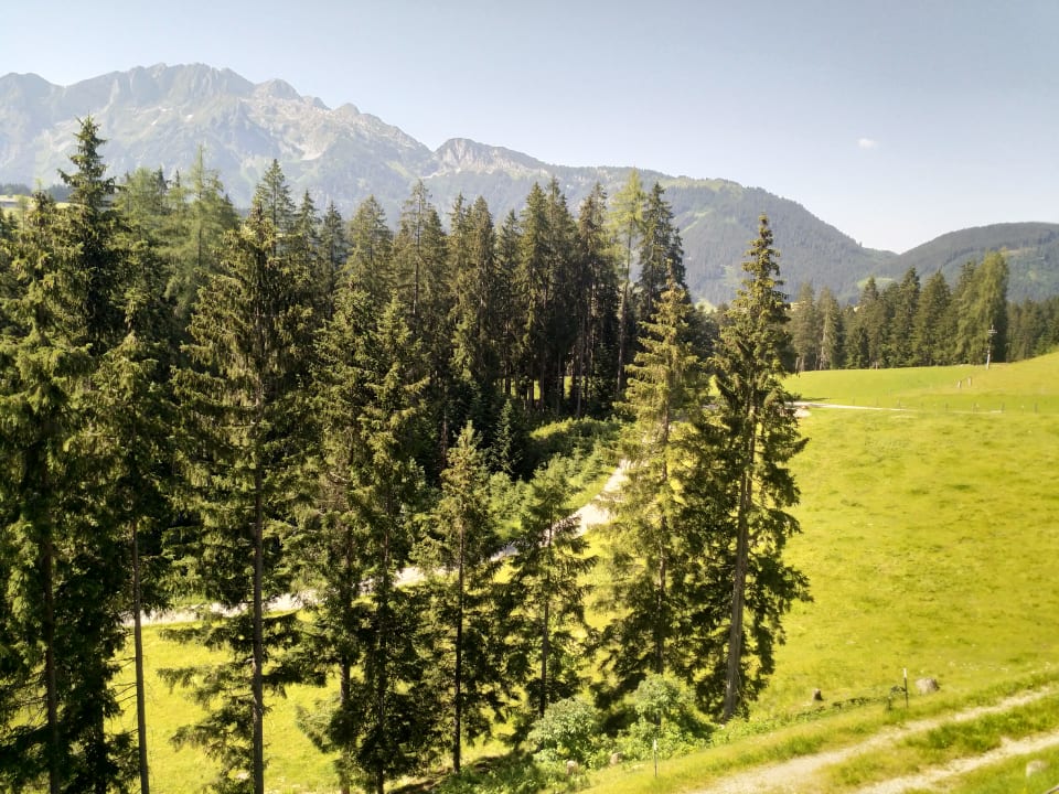 Ausblick Chalets Almidylle
