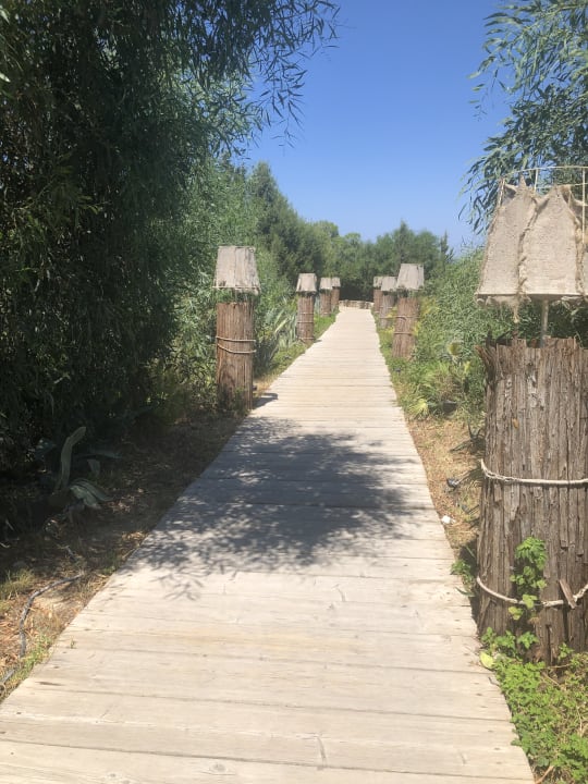 Gartenanlage Hotel Princess Flora