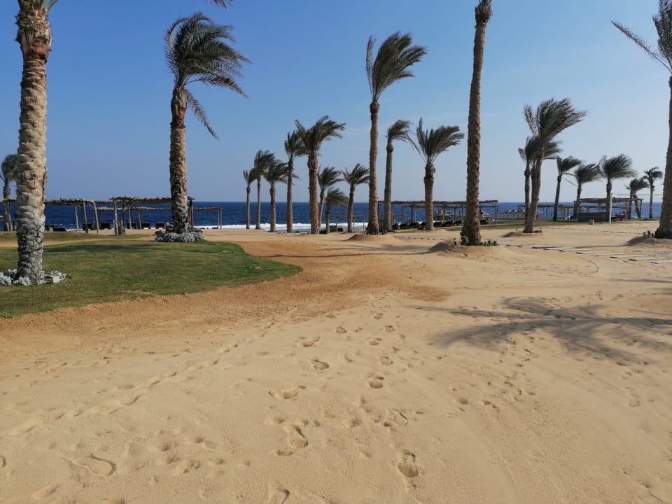 Strand Steigenberger Resort Alaya Marsa Alam - Red Sea - Adults only