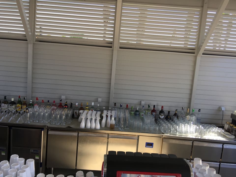 Gastro Paloma Finesse