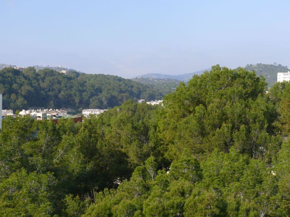 Ausblick zur Landseite Valentin Reina Paguera