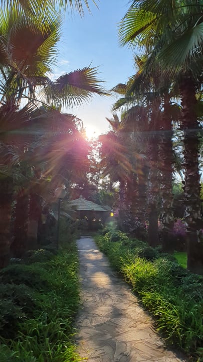 Gartenanlage Hotel Yetkin