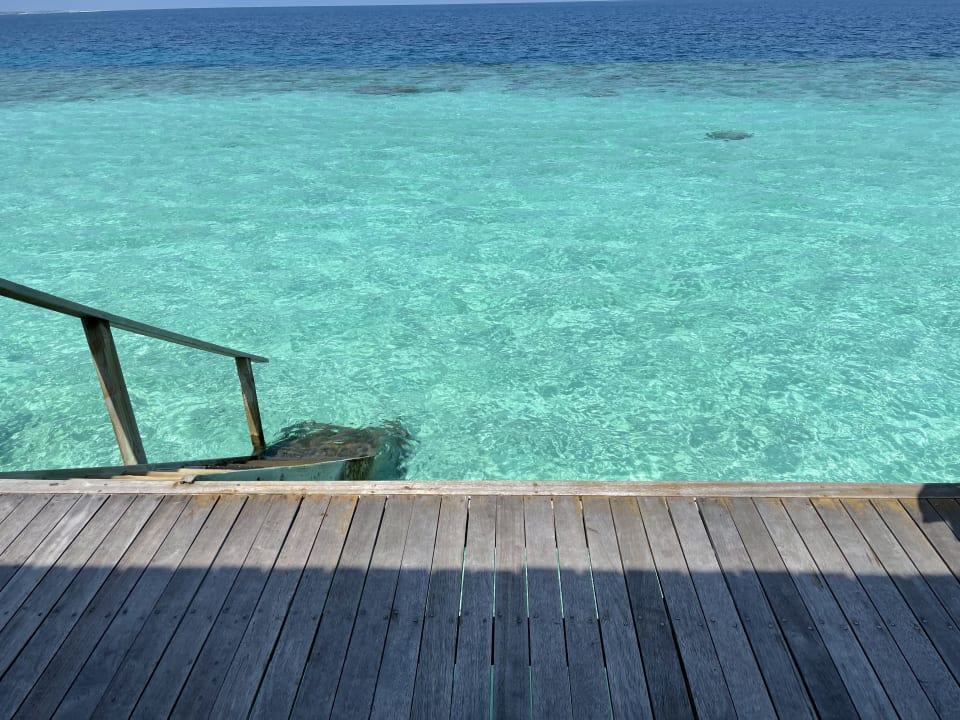 Zimmer Veligandu Maldives Resort Island