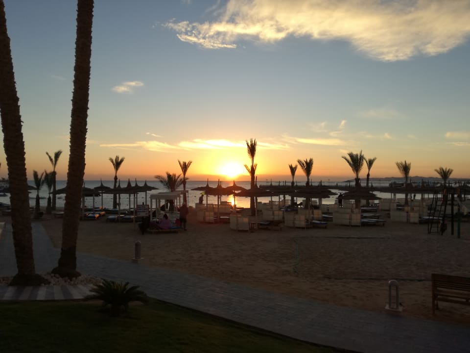 Zimmer Beach Albatros Resort