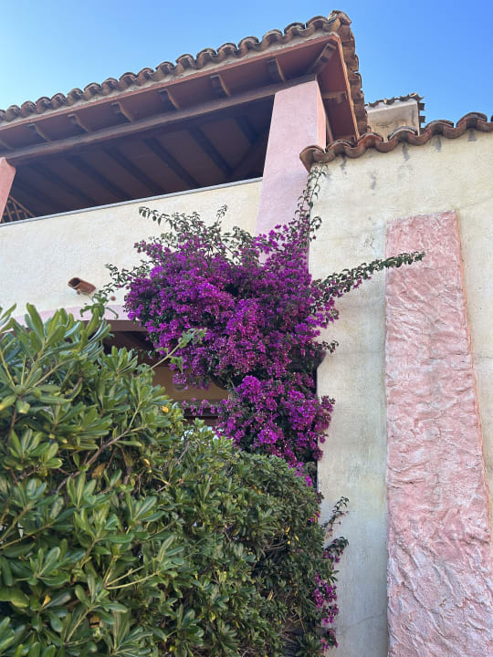 Gartenanlage Hotel Resort & Spa Baia Caddinas